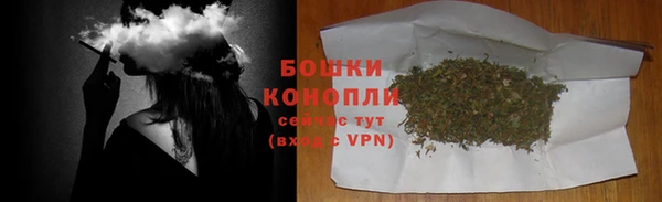 дживик Заводоуковск