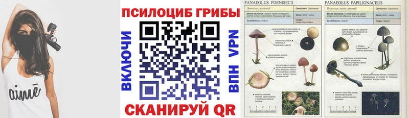 Псилоцибиновые грибы прущие грибы Карачев