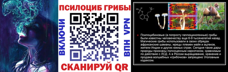Псилоцибиновые грибы Psilocybe Карачев